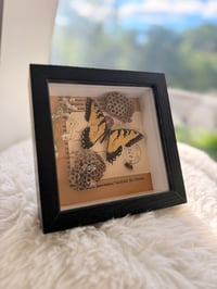 Image 5 of Honeycomb Bee & Swallowtail 