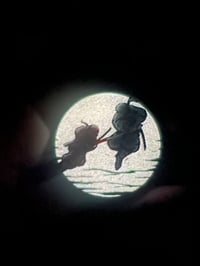 Image 2 of Moonlight Duel