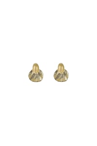 Pectinidae