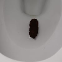 Image 2 of The "Bathroom Bomb" water soluble toilet prank.