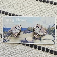 Image 1 of Piping Plovers 🪶
