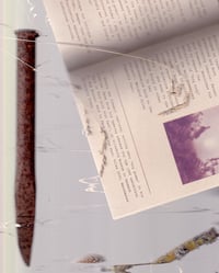 Image 2 of Bog Memory zine