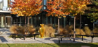 Image 1 of Golden Vase