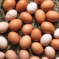 British Lincolnshire Organic Free Range Eggs