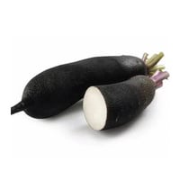Image 2 of French Black Radish