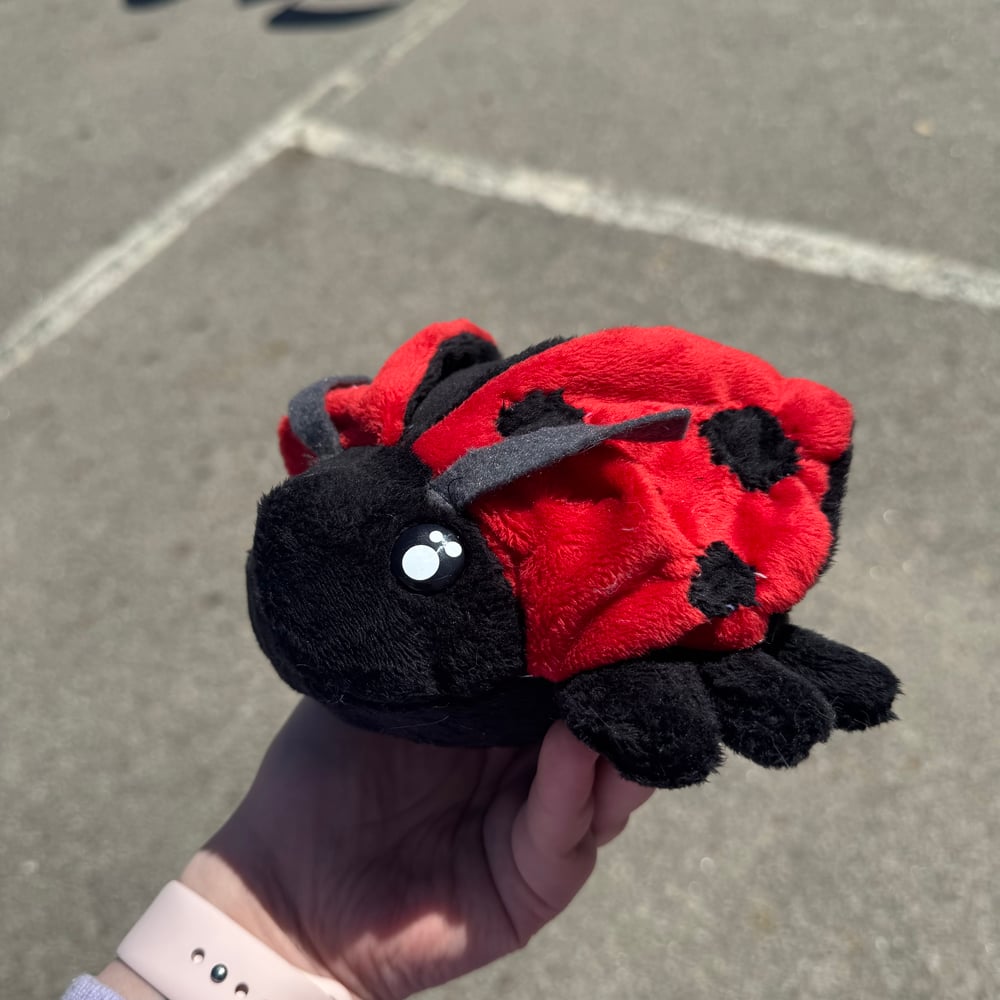 Image of Ladybug