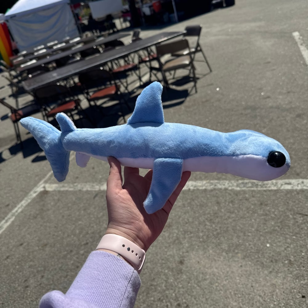 Image of Hammerhead Shark