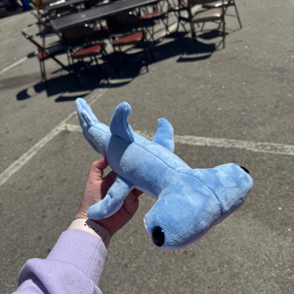 Image of Hammerhead Shark