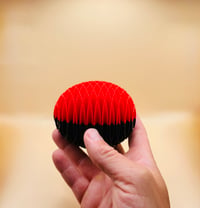 Image 1 of PINECONE FIDGET 