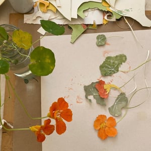 Image of  Nasturtium Paper Botanical Cut-outs , Sunday , 12 JULY, 2026