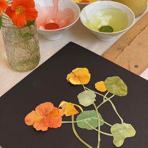 Image of  Nasturtium Paper Botanical Cut-outs , Sunday , 12 JULY, 2026