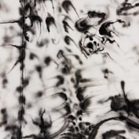 Image 3 of JA_0001