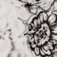 Image 4 of JA_0001