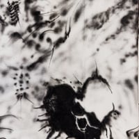 Image 5 of JA_0001
