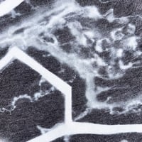 Image 5 of SMA_0001