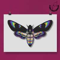 Moth to Fame