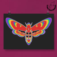 Moth to Fame 2