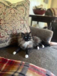 Image 1 of 7” 9” or 12” Custom Cat from your photo 