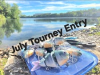 Monthly tourney entry