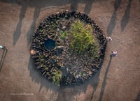 Image 3 of A l'echelle de la main - Wagon Landscaping