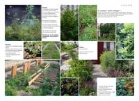 Image 12 of A l'echelle de la main - Wagon Landscaping
