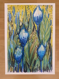 Image 2 of Kunstdruck "Flores 2"