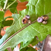 Image 1 of MUDLARK sparkling multi colored cubic zirconia post earrings