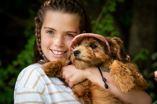 Image of St. John's Summer Mini Sessions - Saturday, August 15th