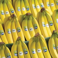 Image 1 of Fyffes Bio Organic Fairtrade Bananas