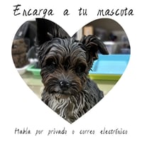 Mis mascotas