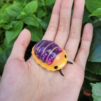 Jupiter isopod desk buddy