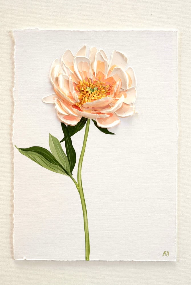 Image of Coral Charm Peony On Off -White 