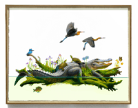 Wetland