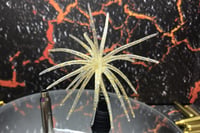 Image 1 of SPEEDBALL Finesse Cokie Style Creature Urchin Bait QS