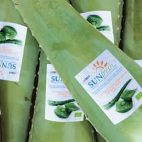 Image 1 of Spanish Fresh Aloe Vera XL Leaf