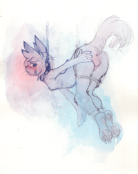 Strung Up Original
