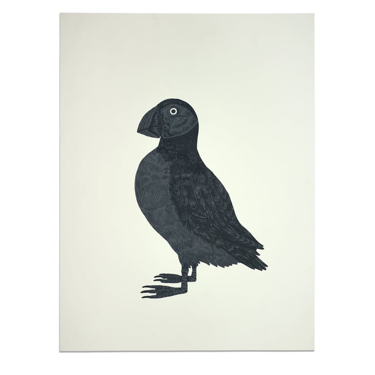Puffin | Papegaaiduiker