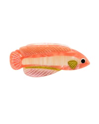 Riviera Hair Claw