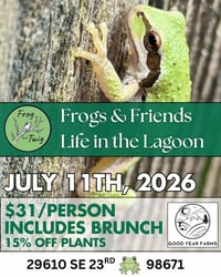 Image 1 of Frogs: Life in the Lagoon