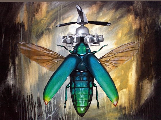 Image of Scarab