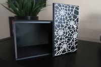 Image 2 of Spider Web Box Storage