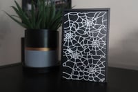 Image 1 of Spider Web Box Storage