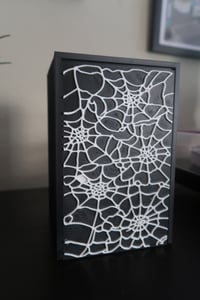 Image 10 of Spider Web Box Storage