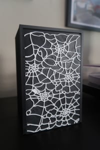 Image 11 of Spider Web Box Storage