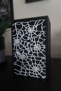 Image 12 of Spider Web Box Storage