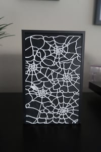 Image 13 of Spider Web Box Storage