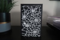 Image 14 of Spider Web Box Storage