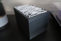 Image 15 of Spider Web Box Storage