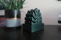 Image 10 of Monstera Plant Cup Coaster