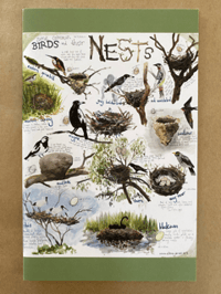 Nest Card